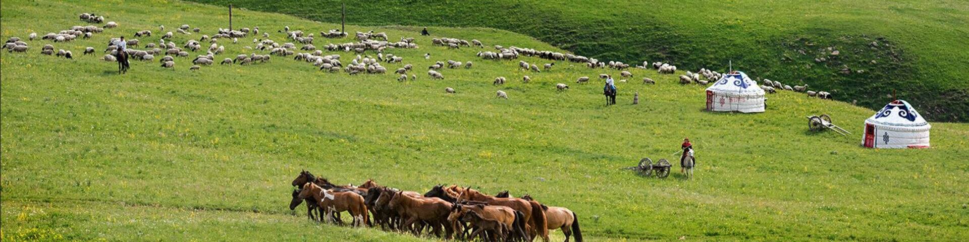 Summer to the #Wulanchabu Grassland of Inner Mongolia,China.
https://twitter.com/Beautifulgx