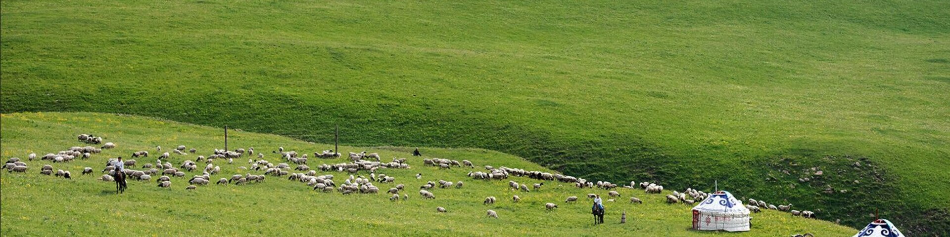 Summer to the #Wulanchabu Grassland of Inner Mongolia,China.
https://twitter.com/Beautifulgx
