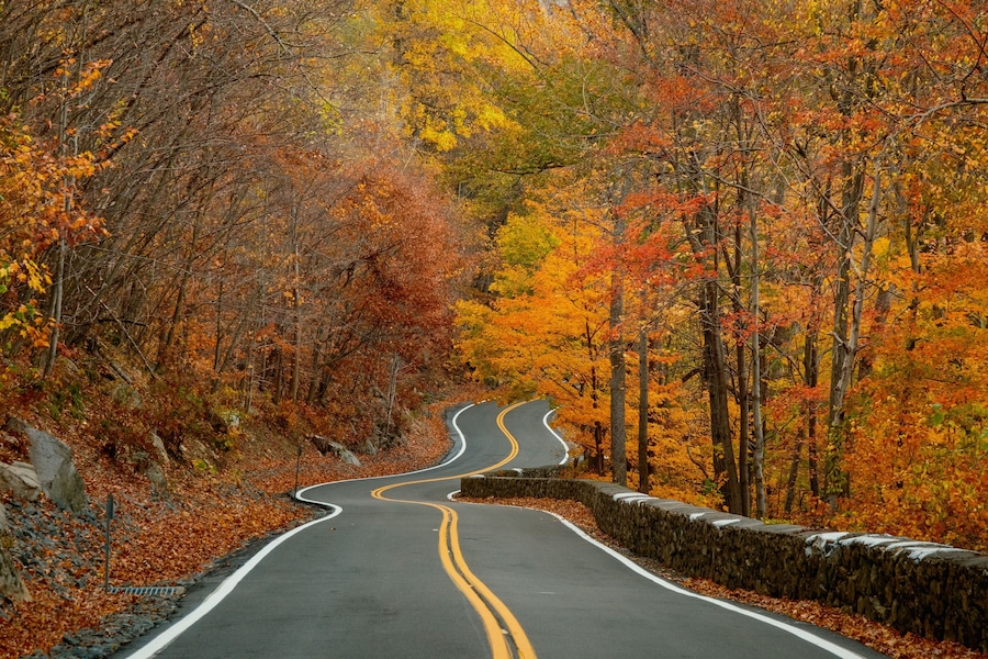 Une route sinueuse bordée d’arbres aux couleurs automnales.