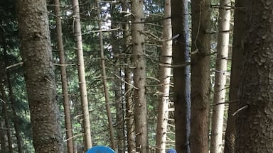 A special trail for families with a lot of interesting things to explore. The 'Hexenwanderweg'