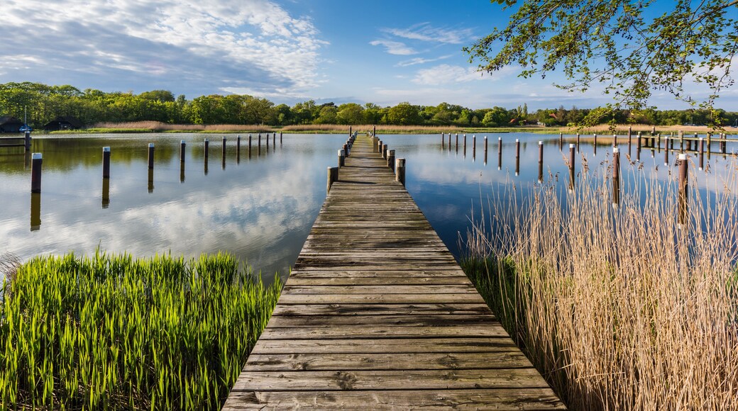 Landing stage in the port of Prerow, Mecklenburg-Western Pomerania (Mecklenburg-Vorpommern), Germany
