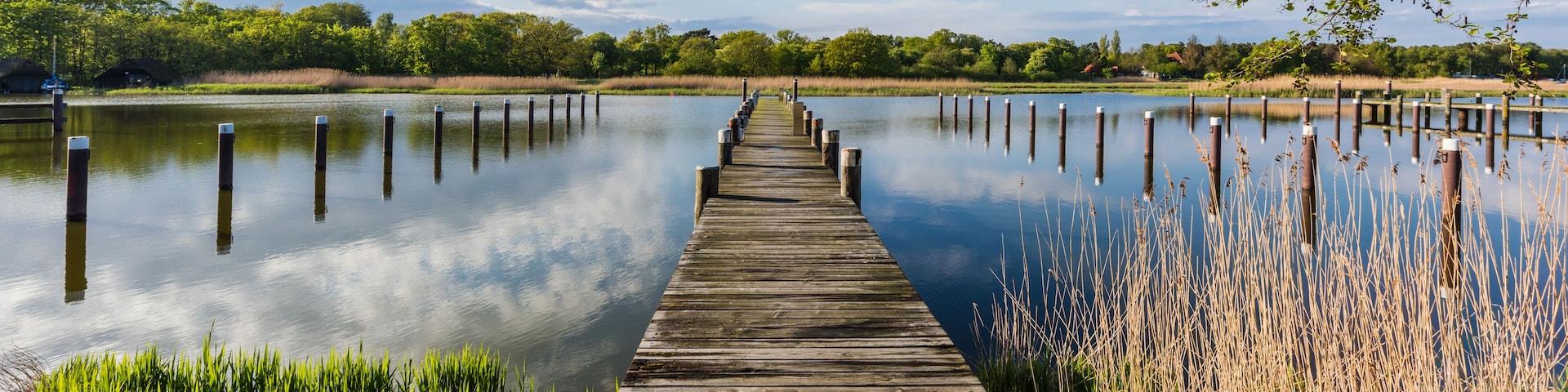 A wooden pier extending into calm water, surrounded by lush greenery and a clear sky.
