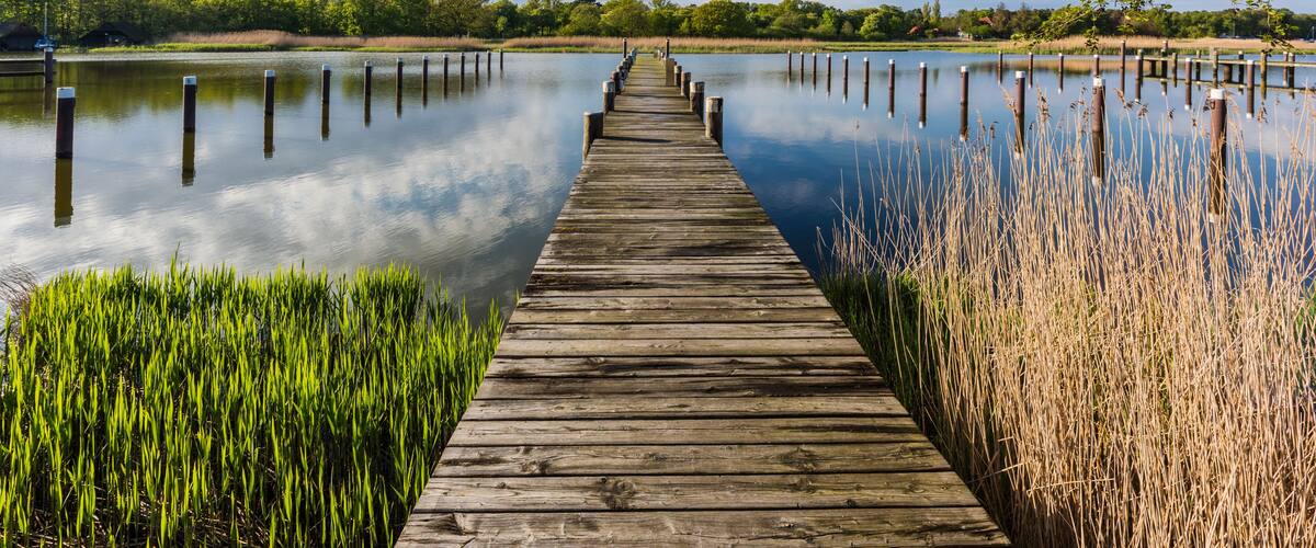 A wooden pier extending into calm water, surrounded by lush greenery and a clear sky.