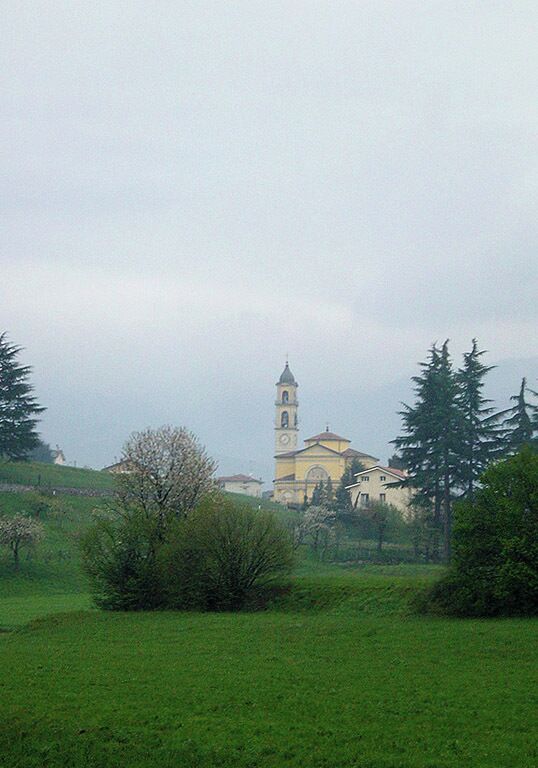 A church with a bell tower surrounded by greenery and trees.