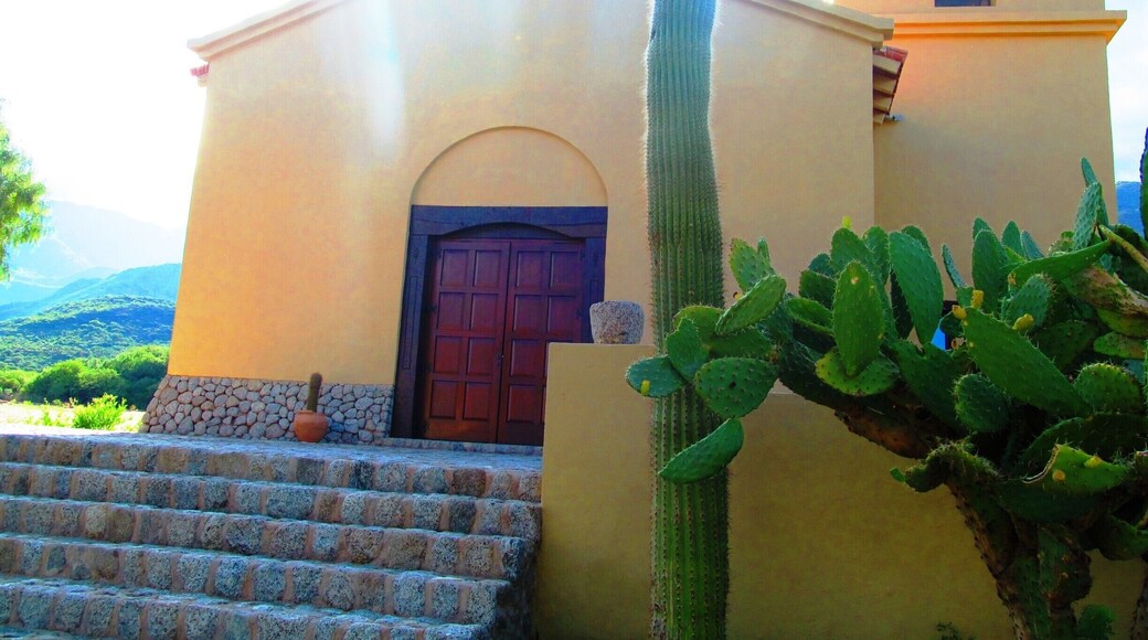 Little chapel, at Plaza Ursula and Donald Hess, close to Colomé Bodegas and vineyards. #Architecture
