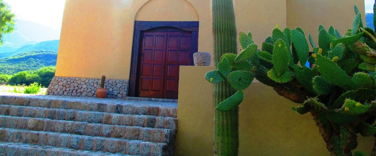 A building with a red door, a bell tower, and a large cactus in front.