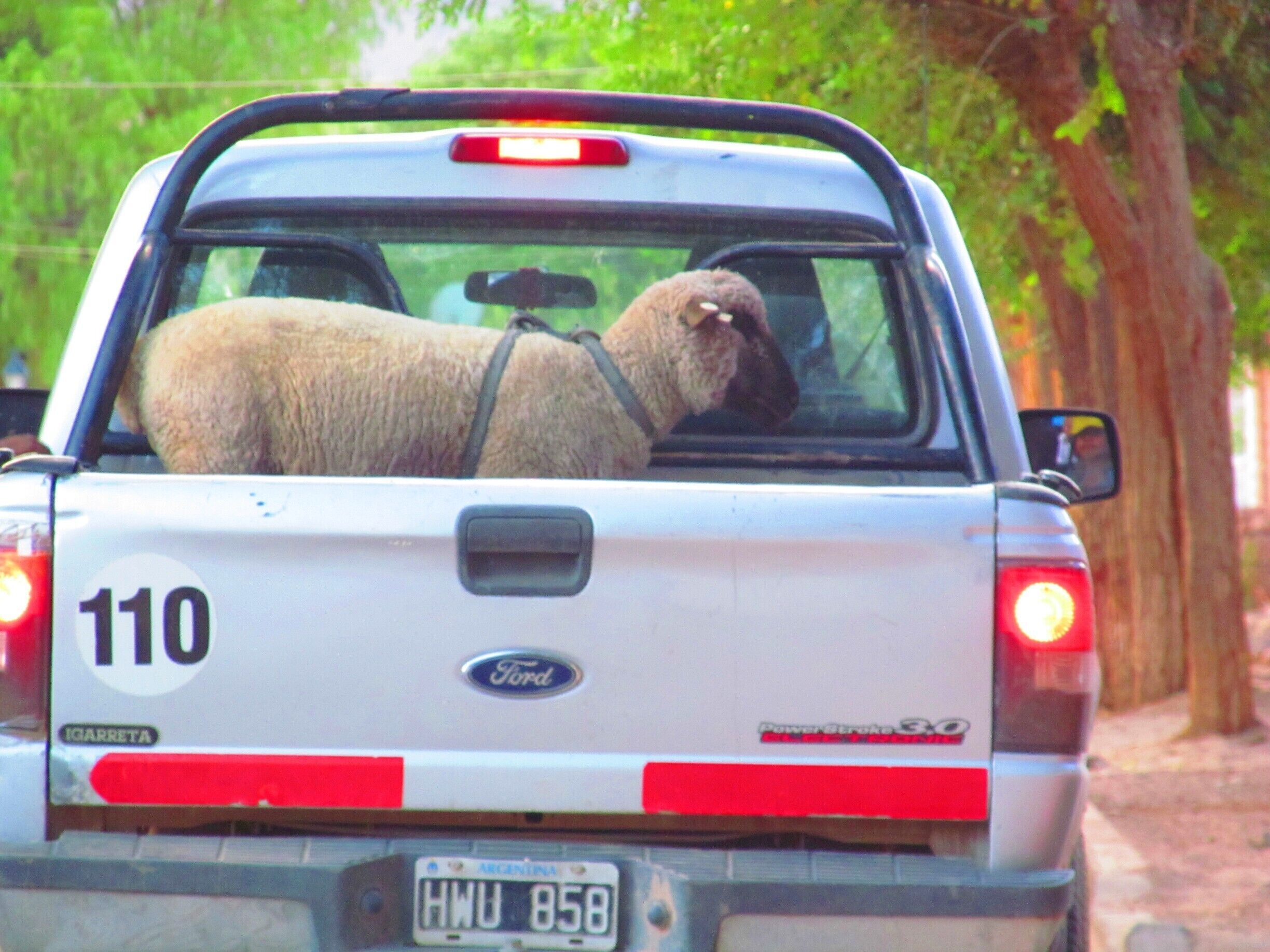 Little village, on route 40, on our way to Cachi.