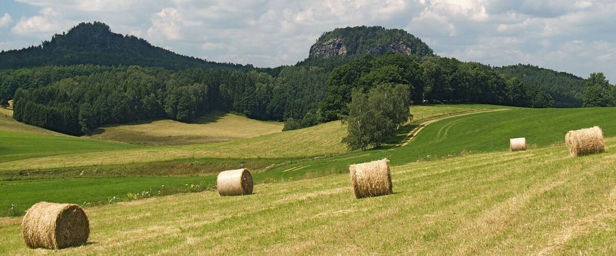 The Rocks BĂ€rensteine in Saxon Switzerland.