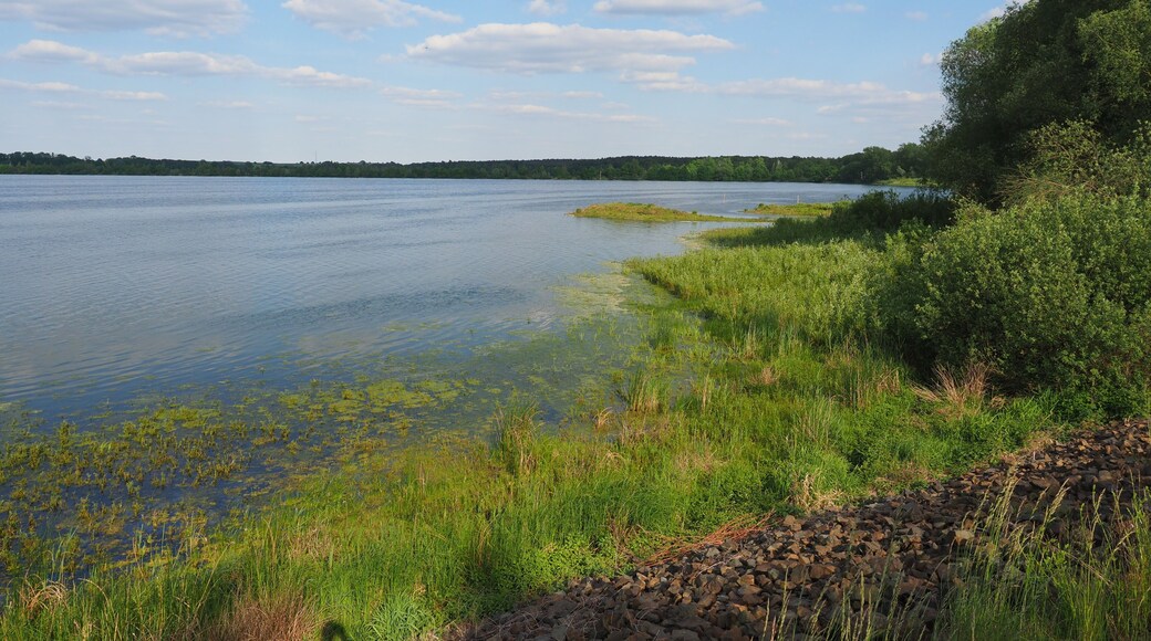 Großteich im Naturschutzgebiet Zschornaer Teichlandschaft
