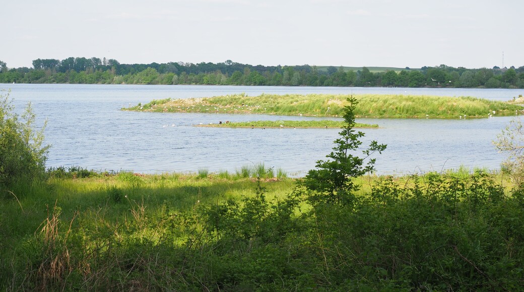 Großteich im Naturschutzgebiet Zschornaer Teichlandschaft