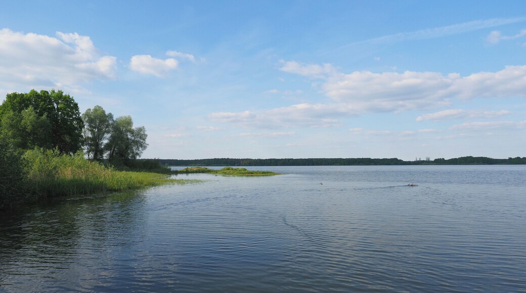 Großteich im Naturschutzgebiet Zschornaer Teichlandschaft