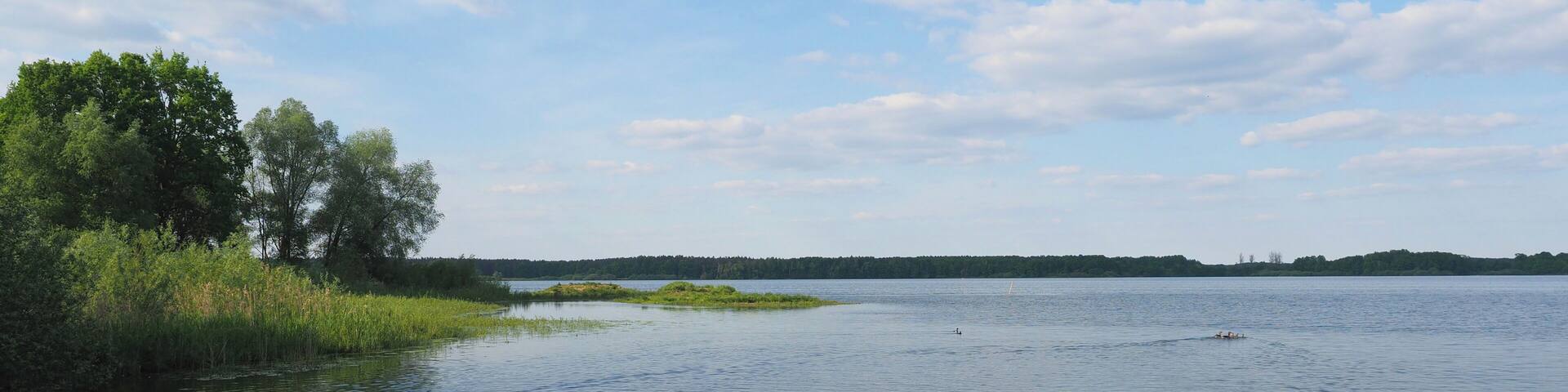 Großteich im Naturschutzgebiet Zschornaer Teichlandschaft
