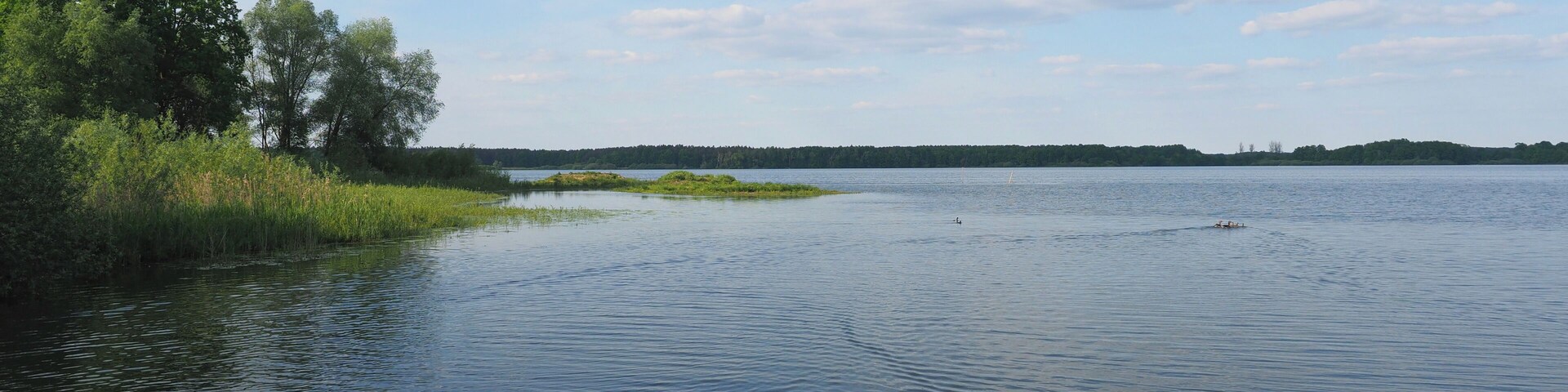Großteich im Naturschutzgebiet Zschornaer Teichlandschaft