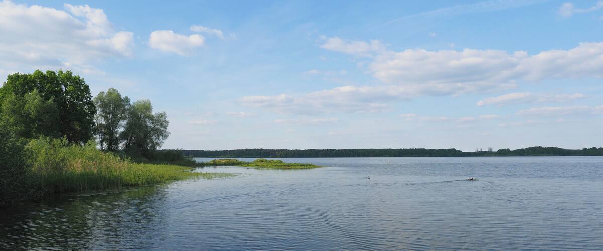 A calm lake with a grassy shoreline and trees in the background.