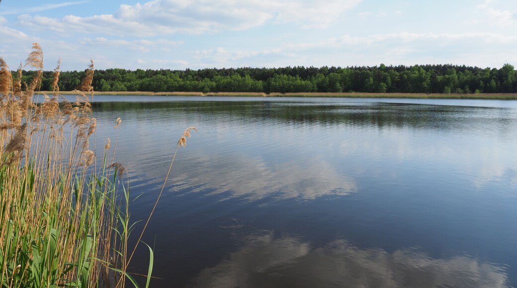 Brettmühlenteich bei Dobra