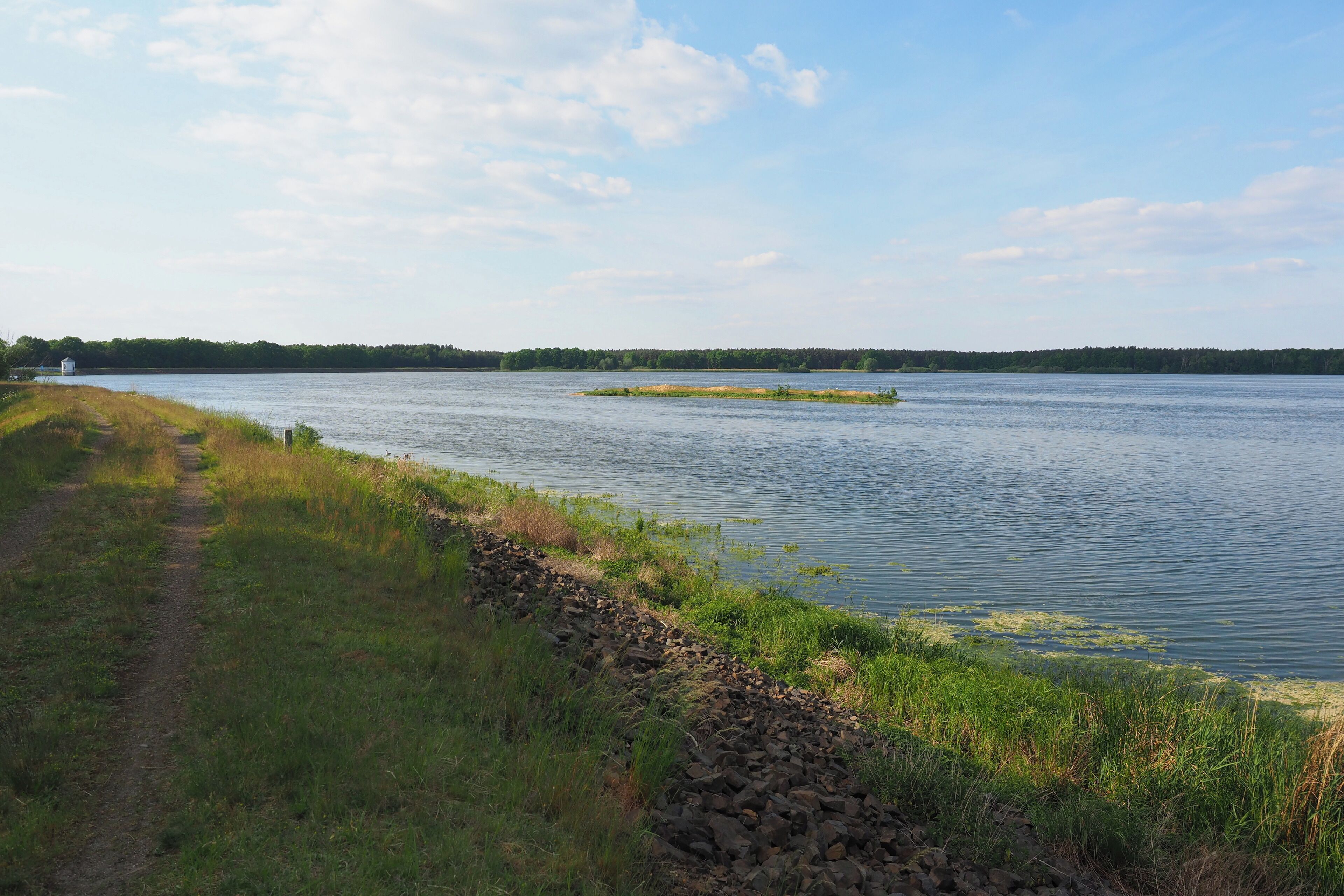 Großteich im Naturschutzgebiet Zschornaer Teichlandschaft