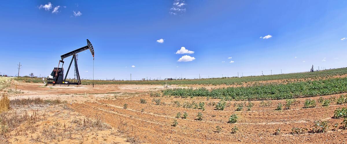 An oil pumpjack in a field with rows of crops under a clear sky.