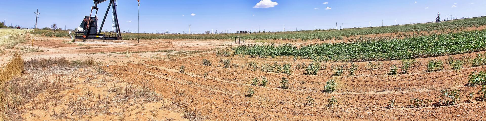 An oil pumpjack in a field with rows of crops under a clear sky.