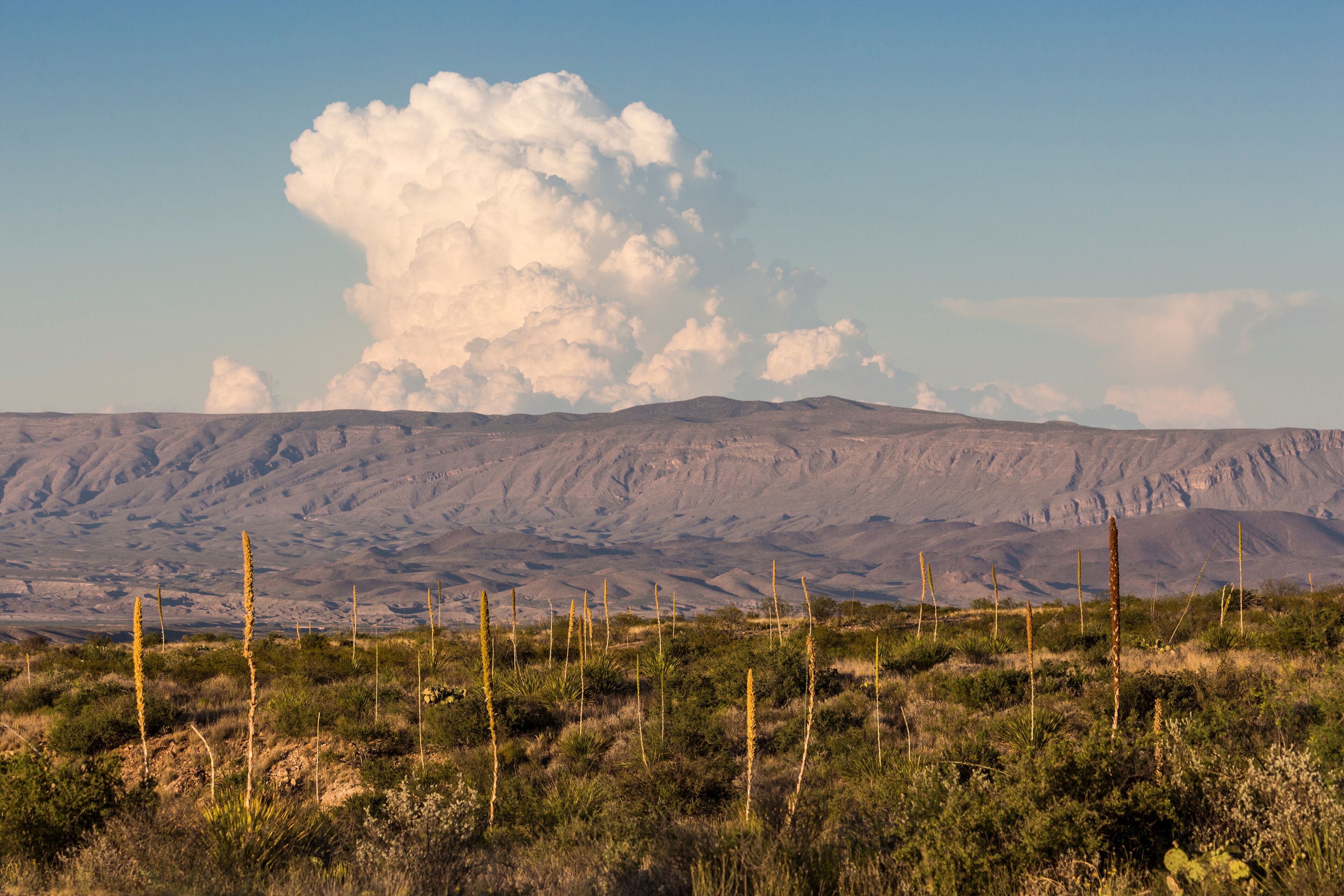 Landscape view of Big Bend National Park during the sunset in Texas.