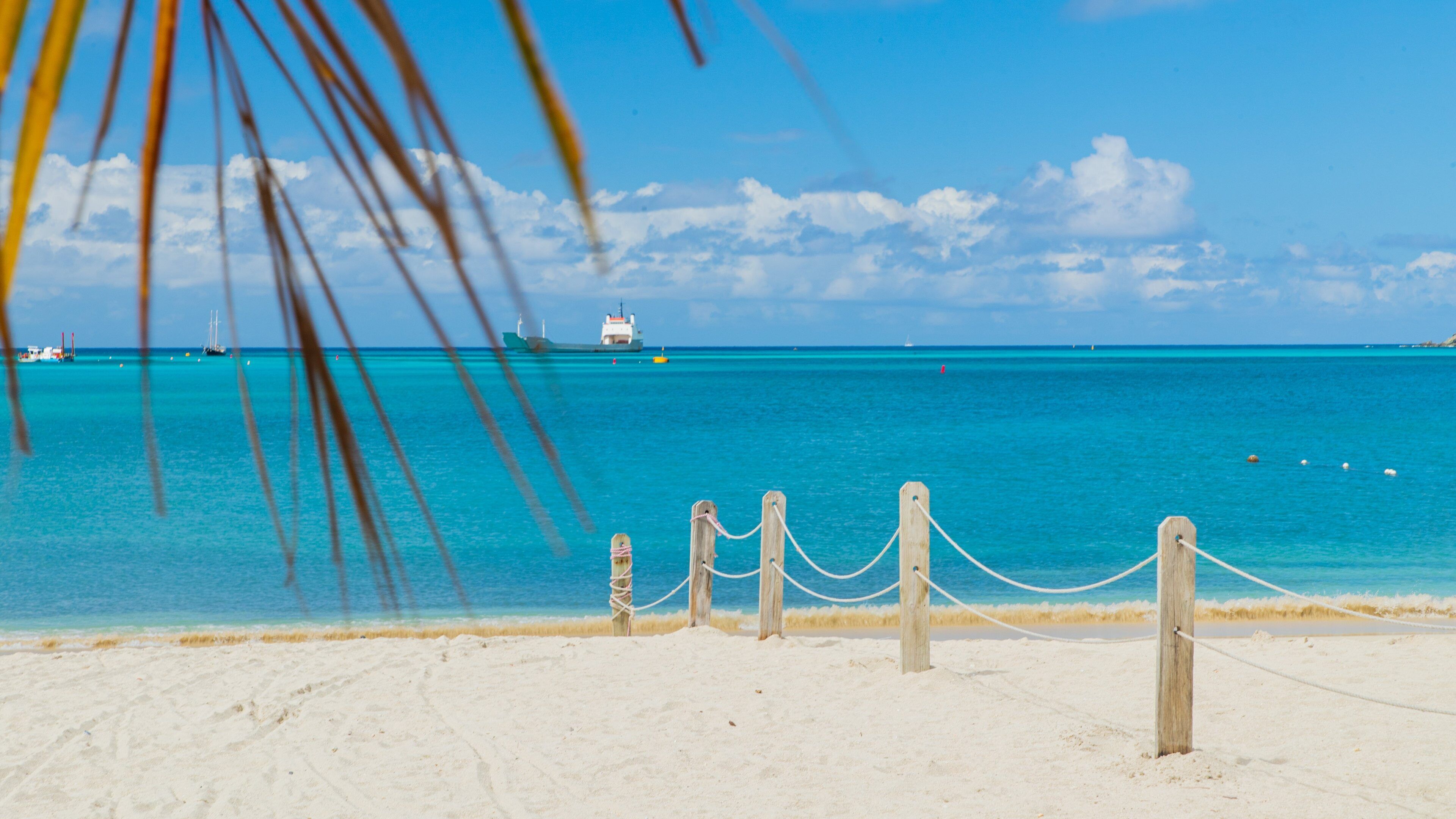 Great Bay Beach which includes tropical scenes, general coastal views and a beach