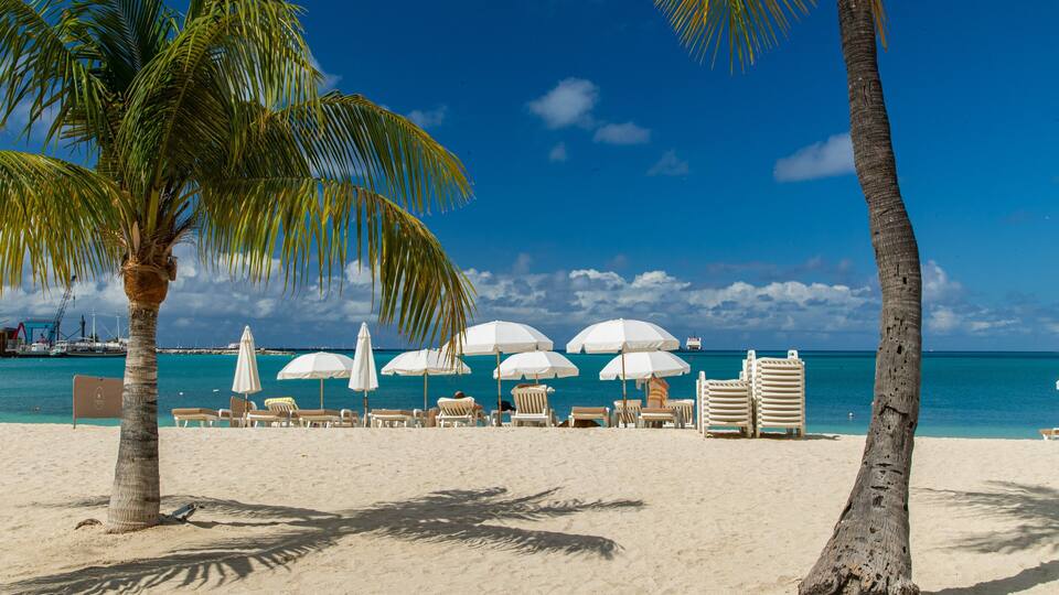 A beach with white umbrellas, lounge chairs, and palm trees.