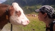 Hiking in the Alps is all about making new friends