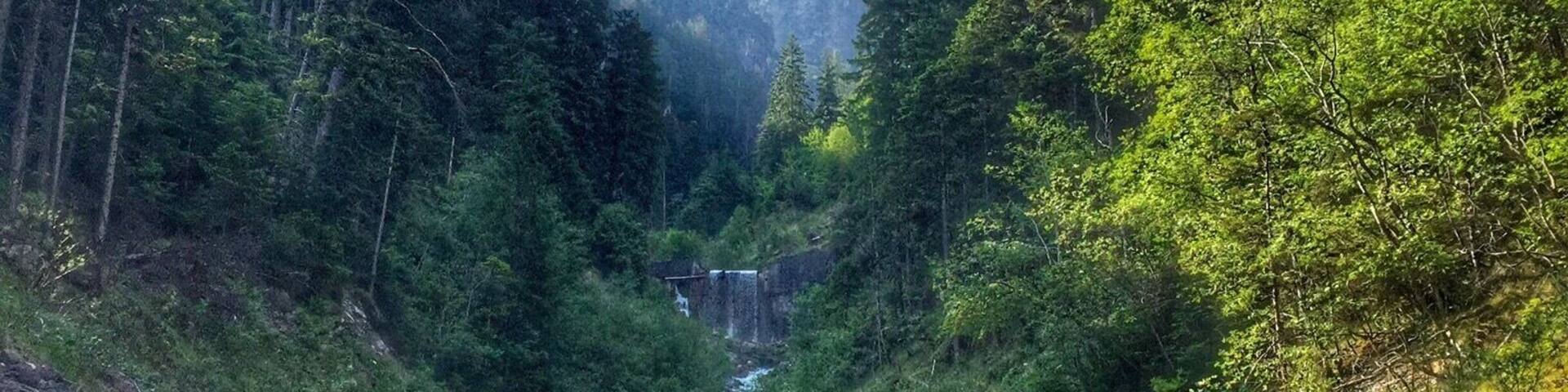Small mountain river near Leisach in East Tyrol.