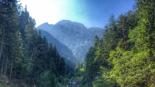 Small mountain river near Leisach in East Tyrol.