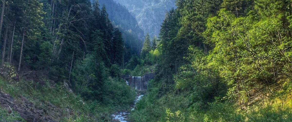 A river flowing through a forested valley with mountains in the background.