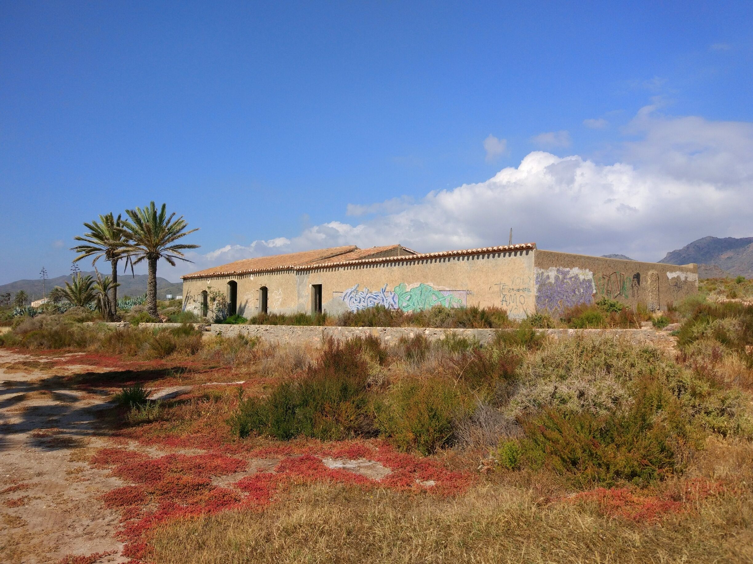 I love the colour of this derelict building against the sky & flora. Am amazing beach side walk from Mar dear Pulpi to Pozo del Esparto.