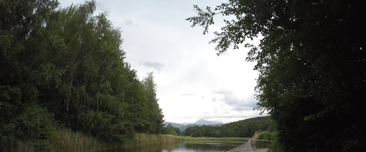 A wooden boardwalk along a calm river, surrounded by dense trees and distant mountains.
