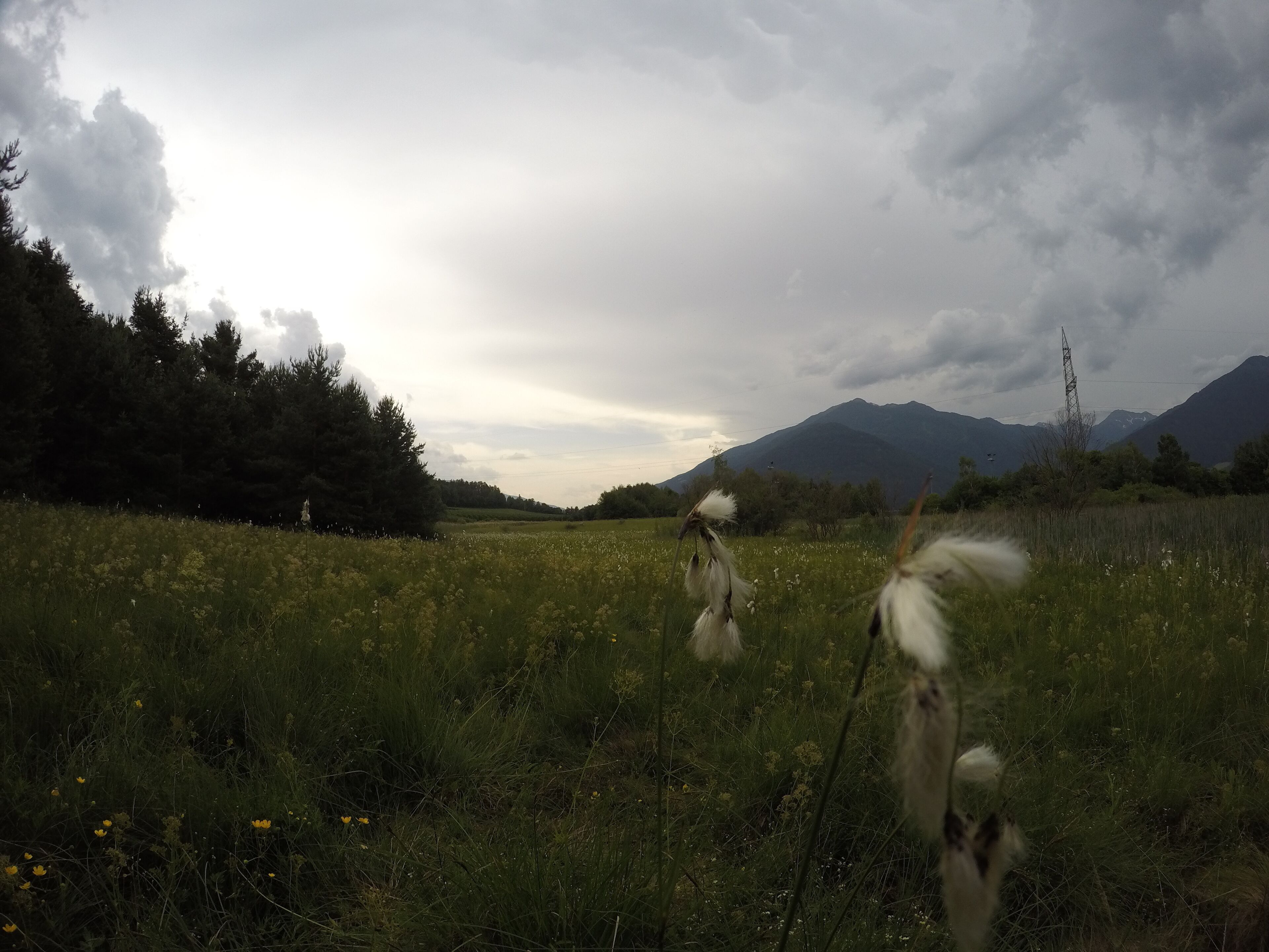 Biotopo Palù Raier (Q2127521)