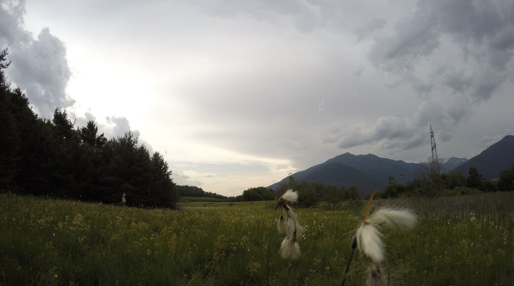 Biotopo Palù Raier (Q2127521)