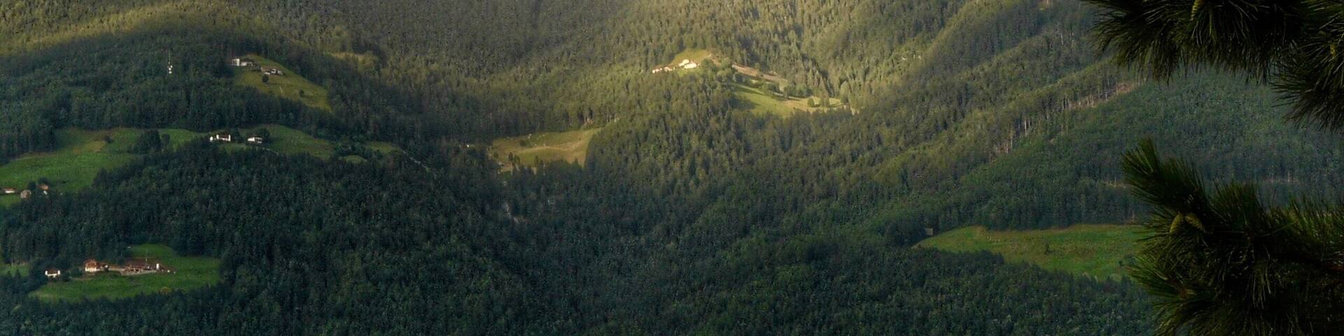 After a week of constant rain it was time to head out to Sutfin farm