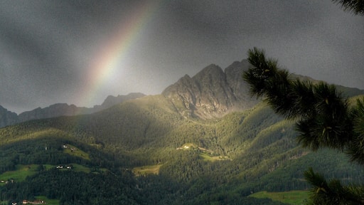 After a week of constant rain it was time to head out to Sutfin farm