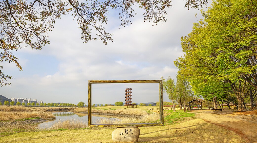 나무,포토존,프레임,습지,전망대,시흥갯골생태공원,장곡동,시흥시,경기도