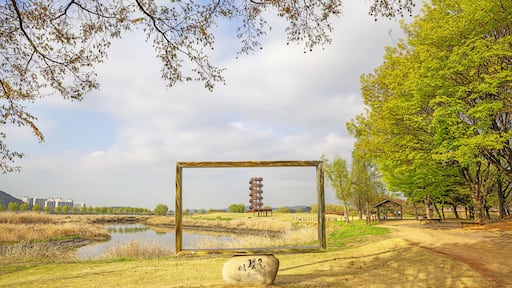 나무,포토존,프레임,습지,전망대,시흥갯골생태공원,장곡동,시흥시,경기도