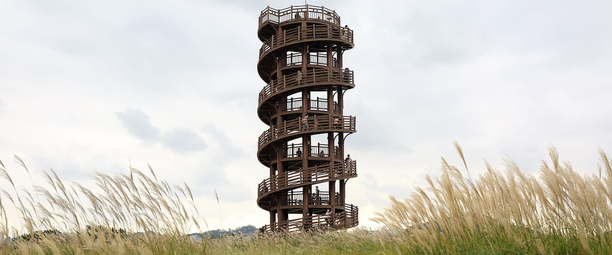 A spiral tower structure surrounded by tall grass and a narrow path leading to it.