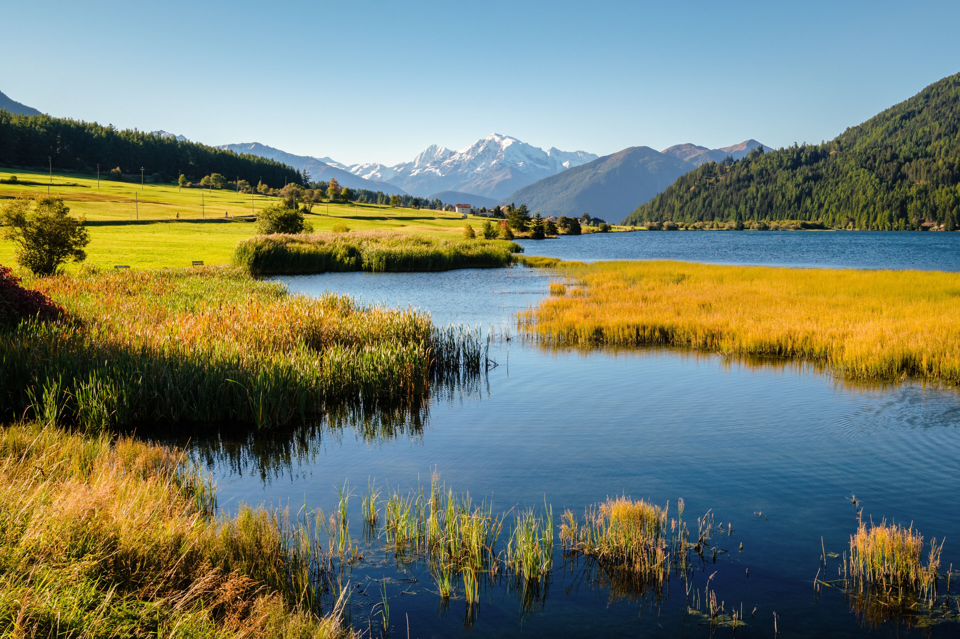 San Valentino alla Muta