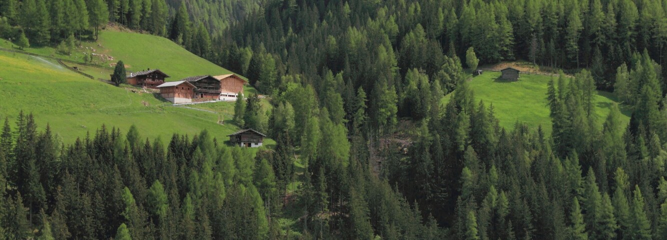 Val d'Ultimo - Ultental