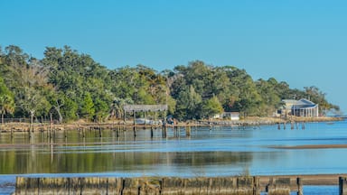 The shoreline on Hammock Bay in Freeport, Walton County, Florida