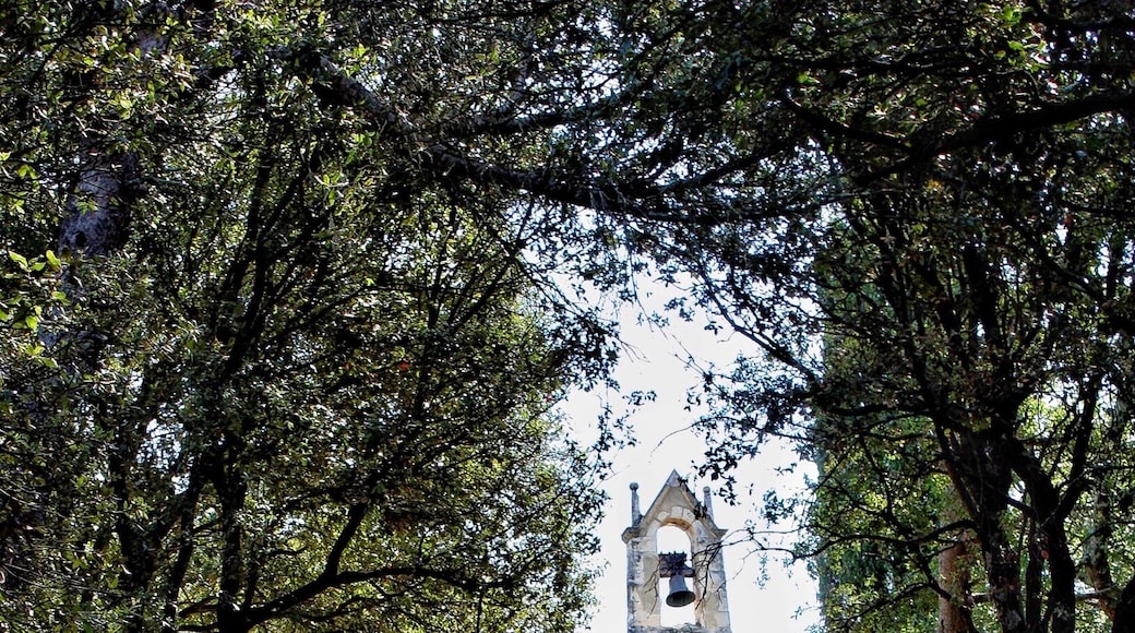 Little church that I discovered during a hike , it was built in 12Ăšme century . We are on a hill , the view is gorgeous over the valley of Ceze river .