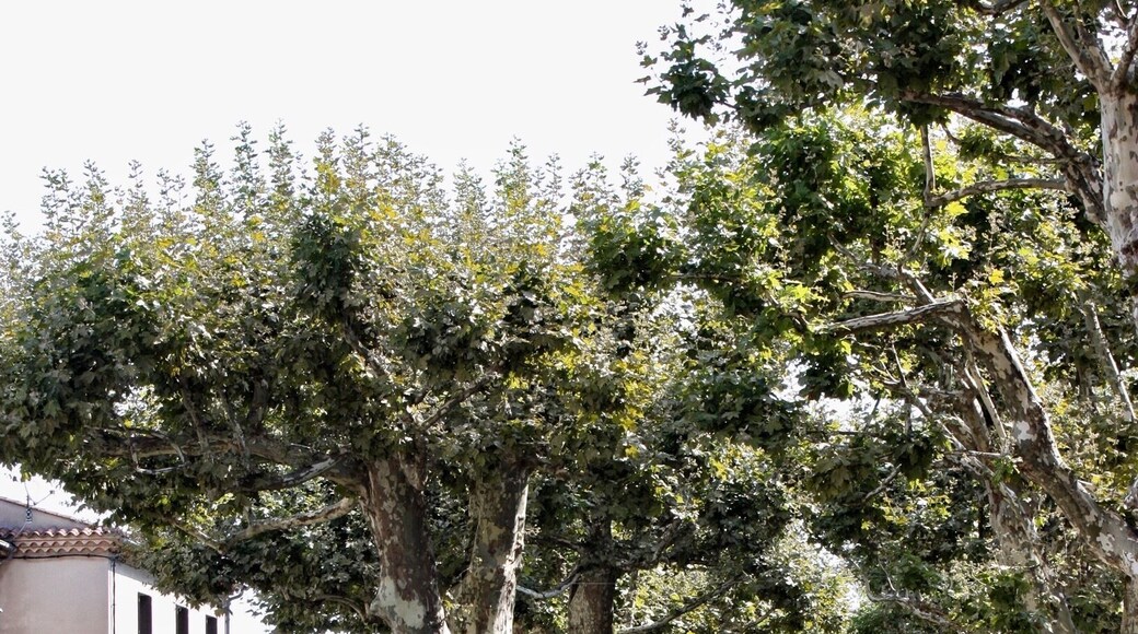 Nice village near Uzés.