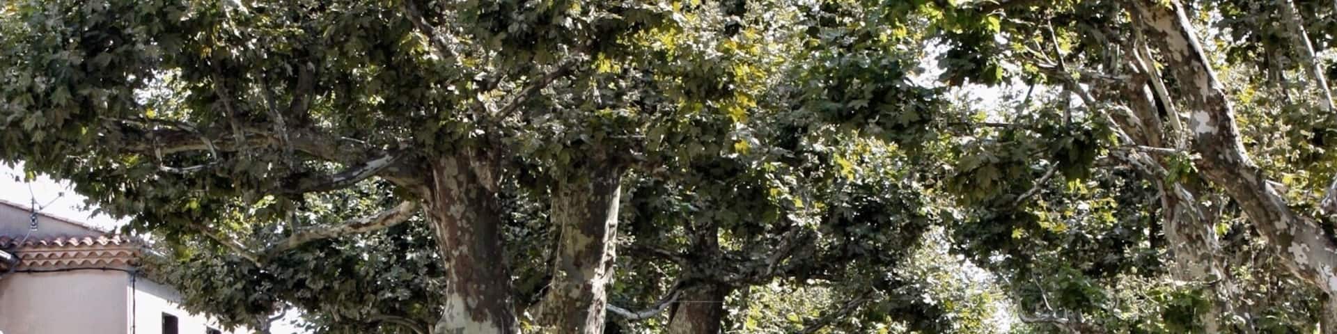 Nice village near Uzés.