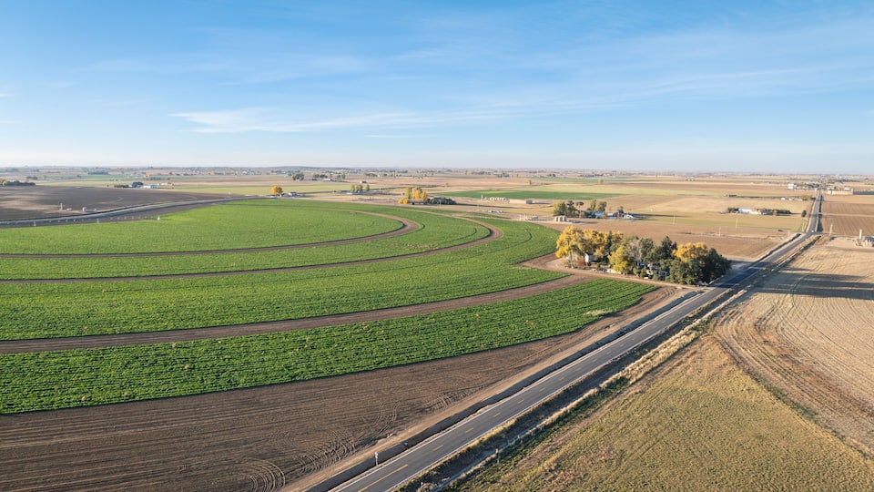 A vast agricultural landscape with green fields, a curved road, and distant buildings.