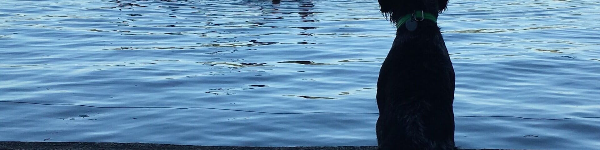 This is your quintessential, "grandmother's-lake house" kind of a lake. Enchantingly quiet and tucked away, but not too far off I-90. SHHH! Keep it a secret!
