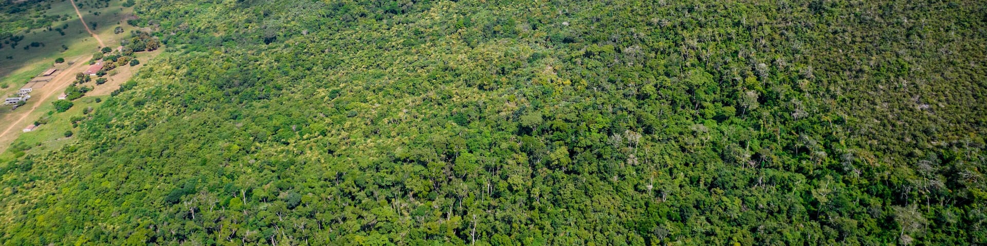 Permanent Ecological Protection Reserve Mountain Range in Itaberaba Bahia Brazil