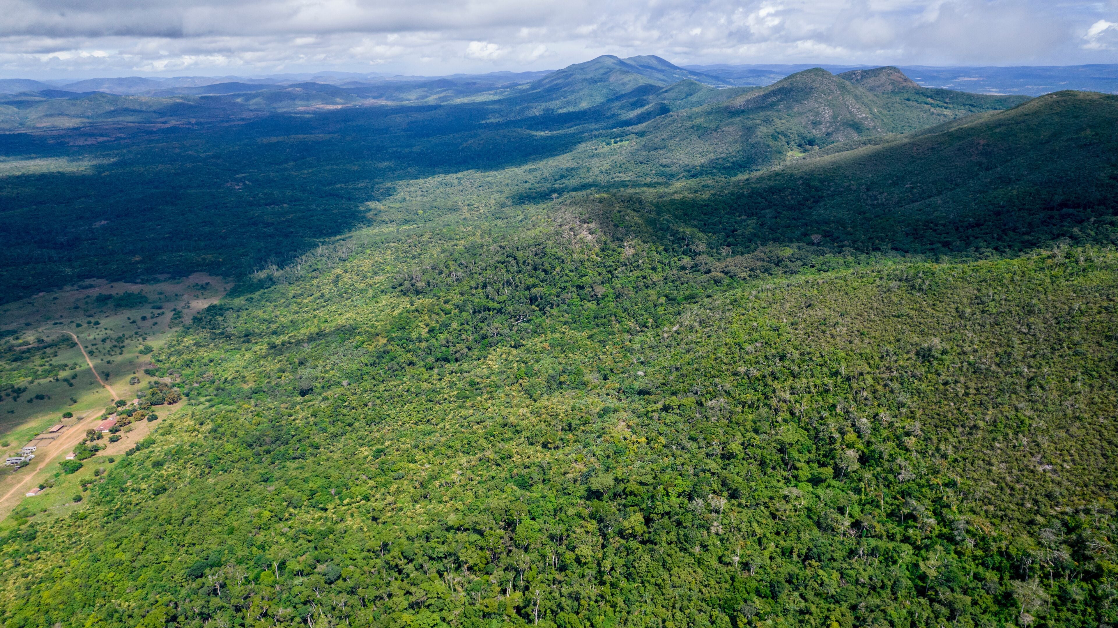 A dense forested mountain range with a clear sky.