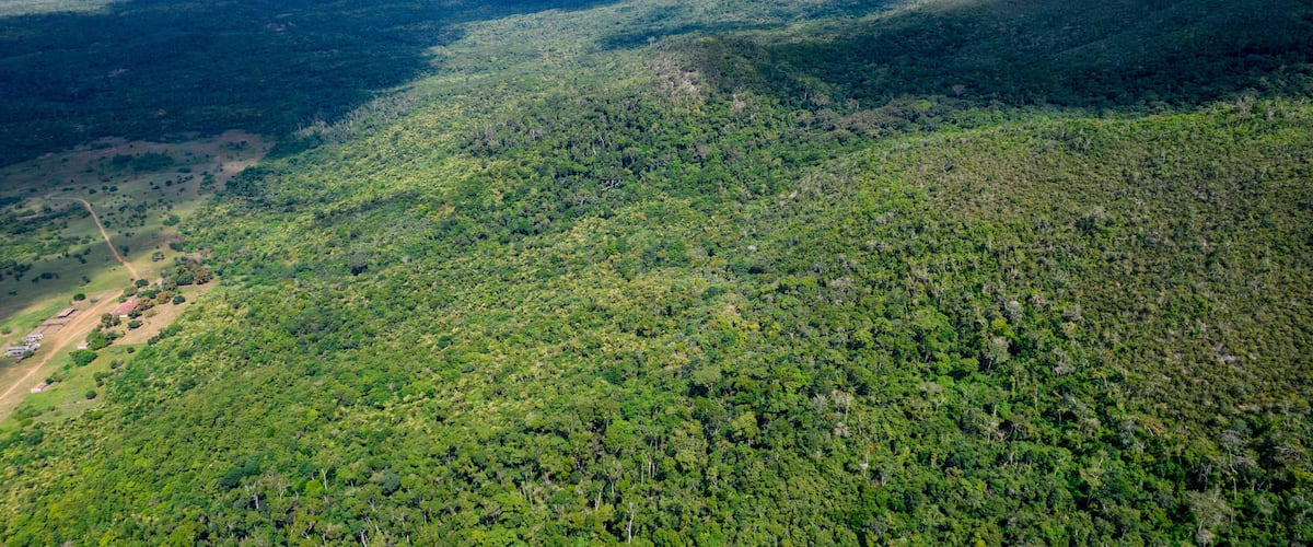 A dense forested mountain range with a clear sky.