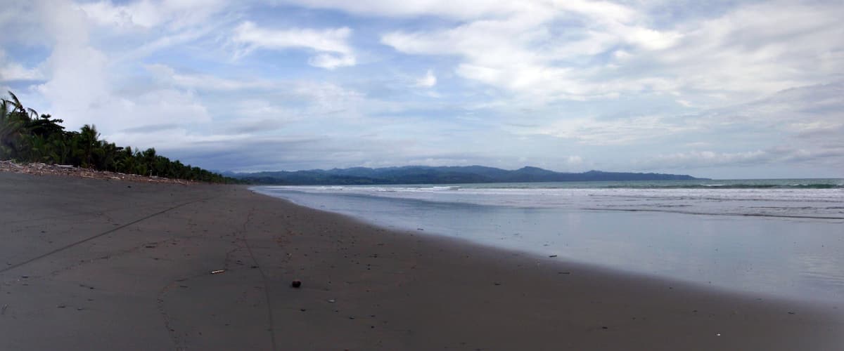 A beach with a sandy shore, palm trees, and distant mountains under a cloudy sky.